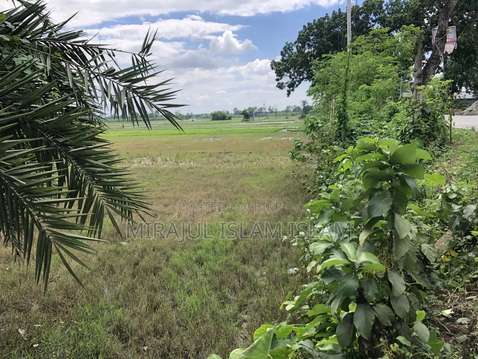 Land Sale