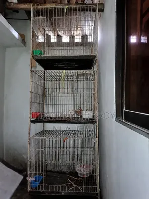 Bird Cages (Pakhir Khacha)