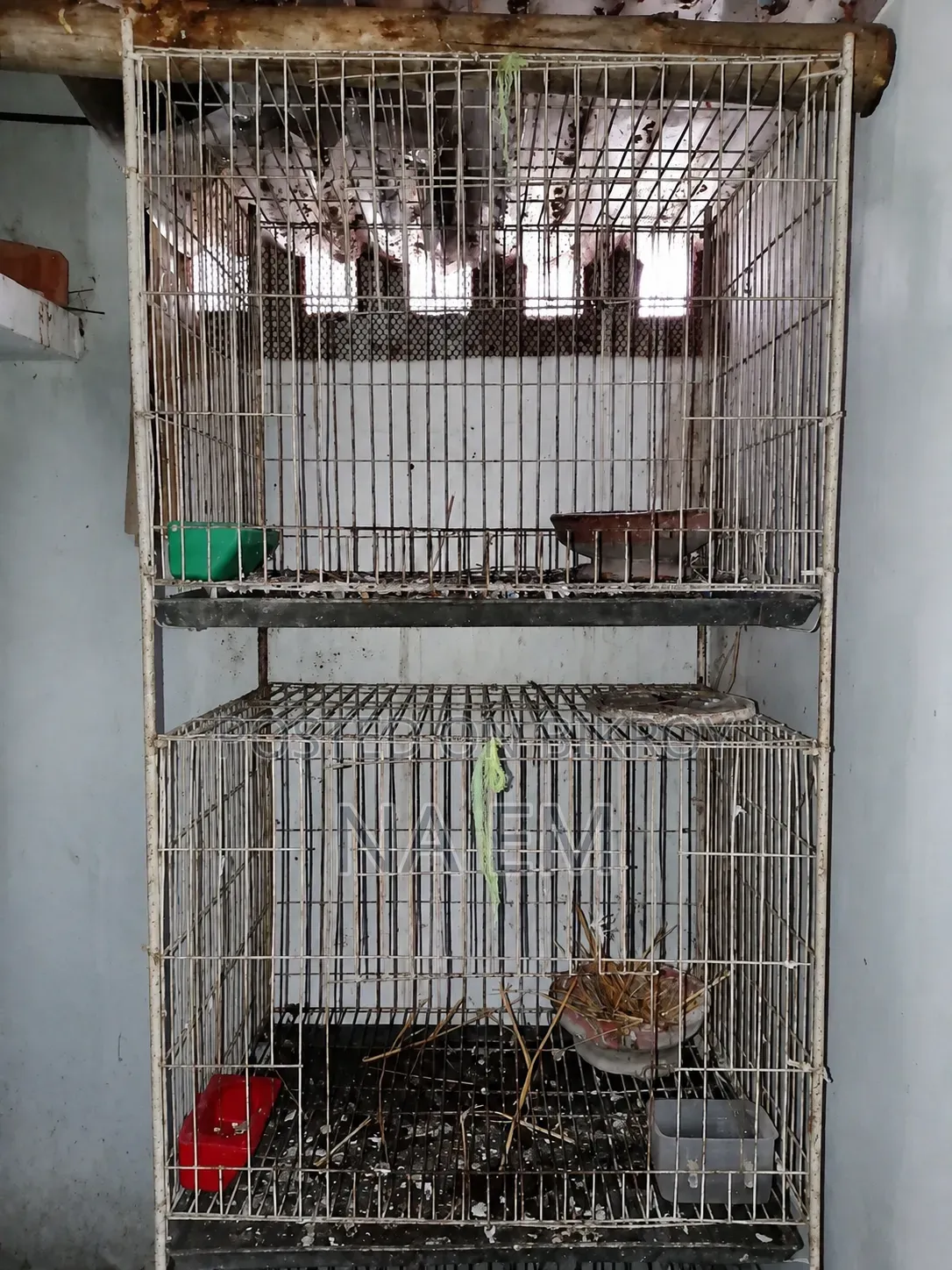 Bird Cages (Pakhir Khacha)