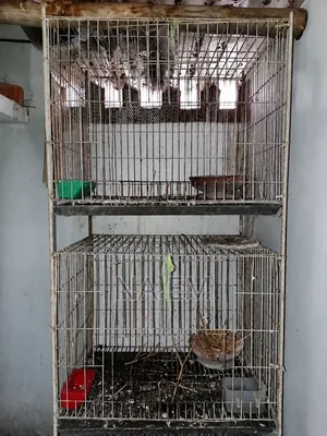 Bird Cages (Pakhir Khacha)