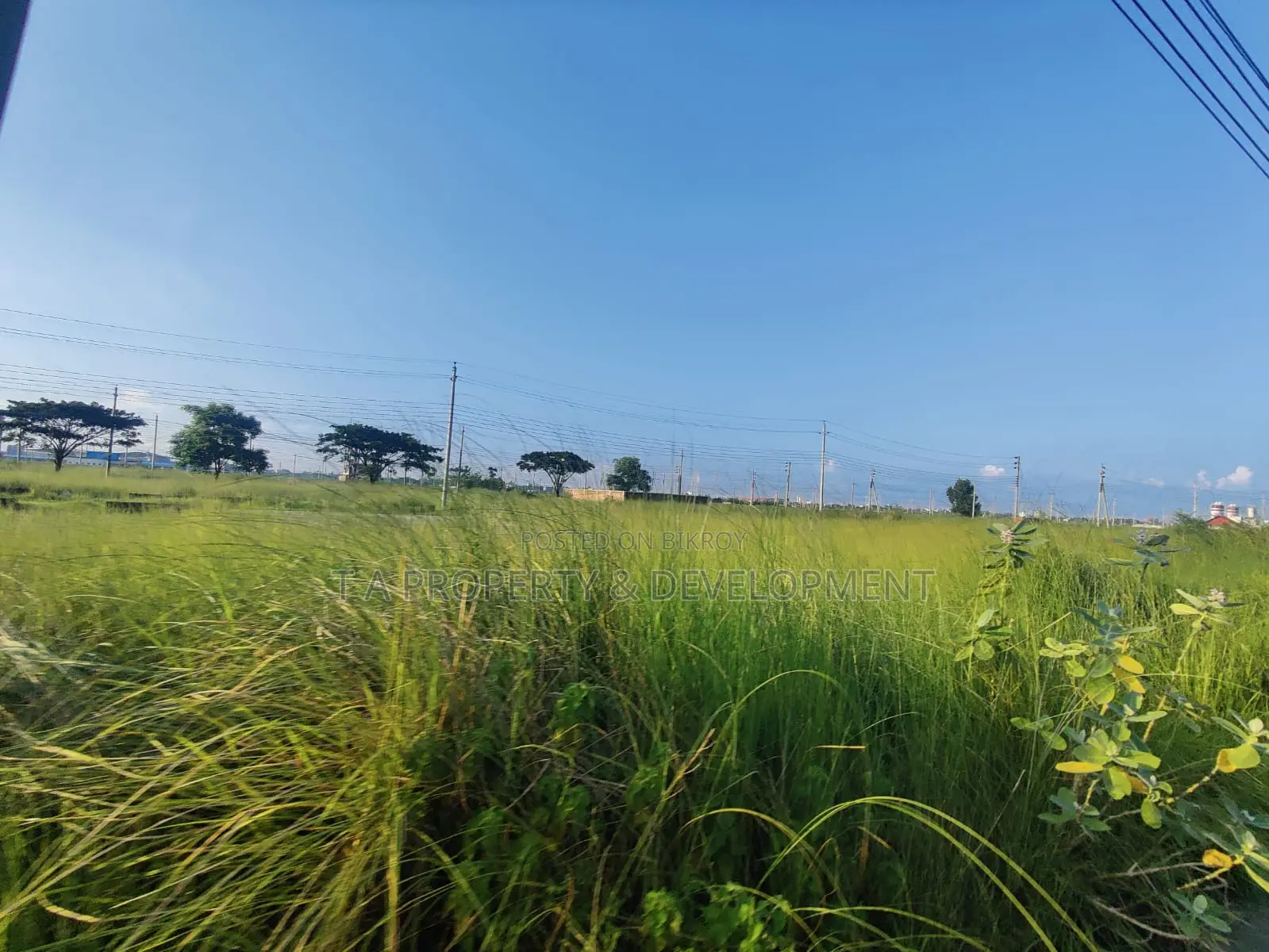 5 Katha North Facing Plot Sell , P Block