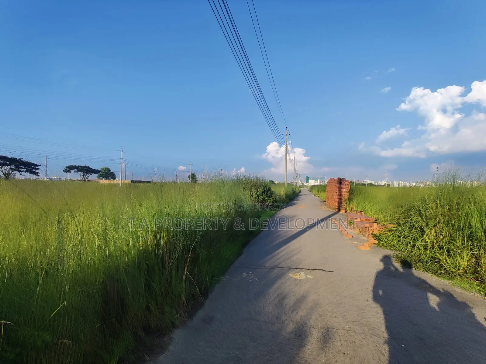 5 Katha North Facing Plot Sell , P Block