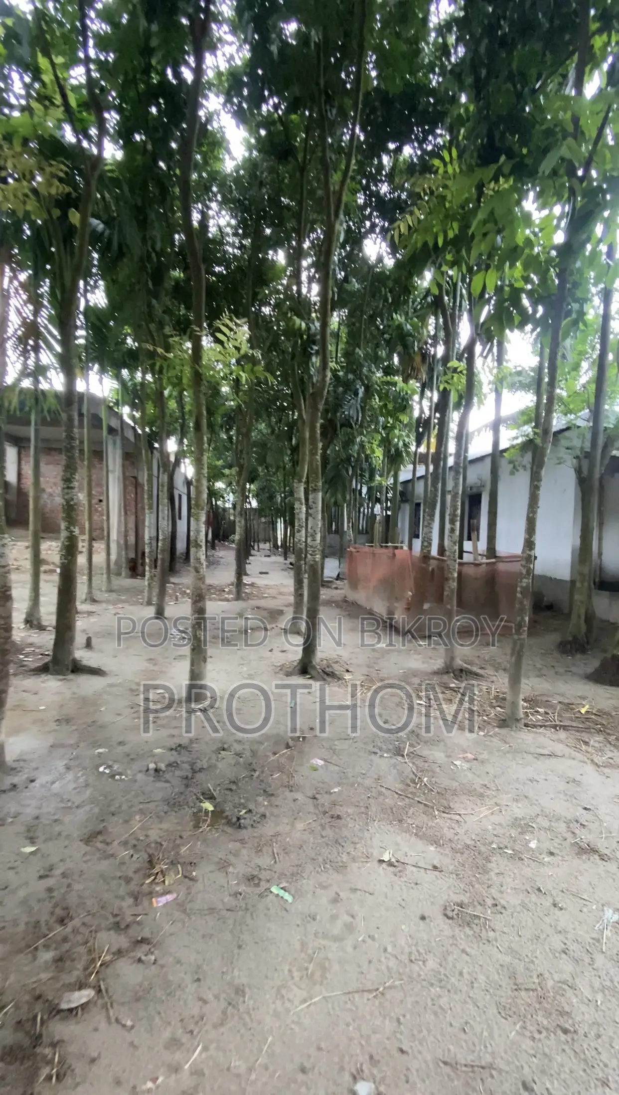 17.5 decimals of land for sale beside Sonatola road