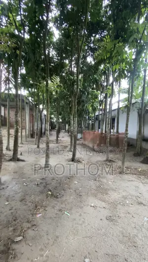 17.5 decimals of land for sale beside Sonatola road
