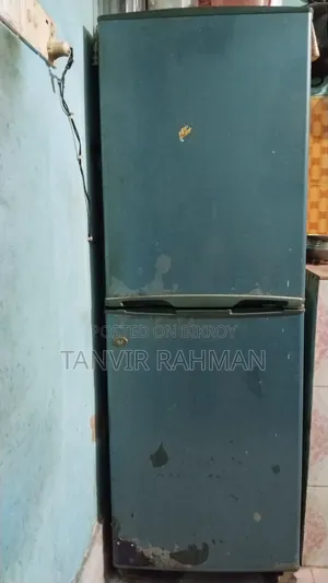 Old Fridge