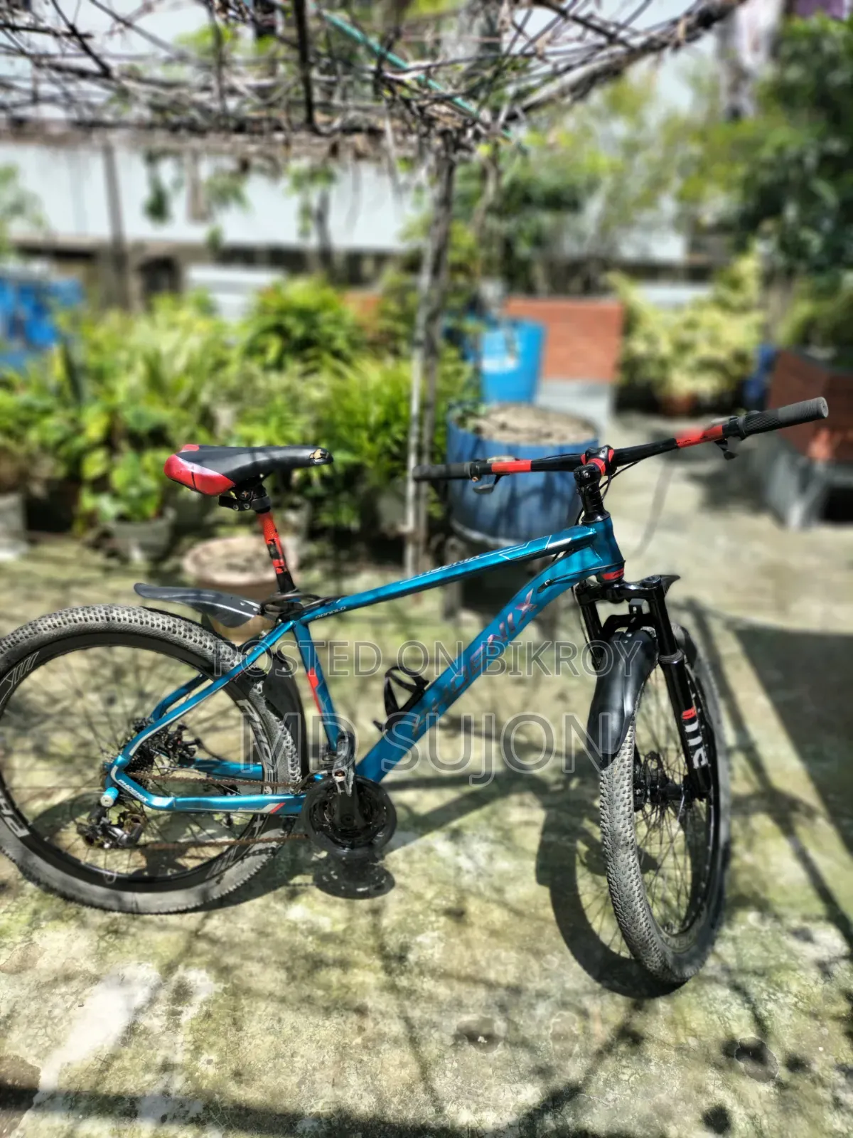 ফিনিক্স ডোনাল্ড