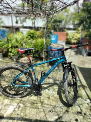 ফিনিক্স ডোনাল্ড