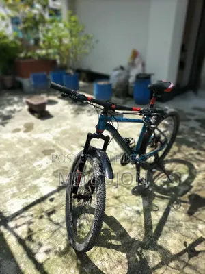 ফিনিক্স ডোনাল্ড
