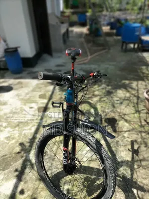 ফিনিক্স ডোনাল্ড