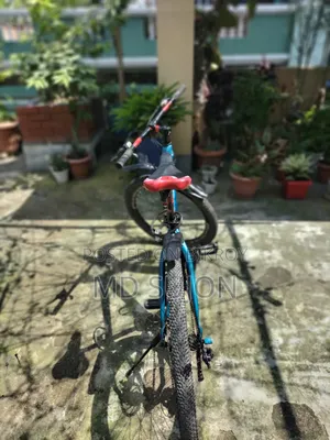 ফিনিক্স ডোনাল্ড