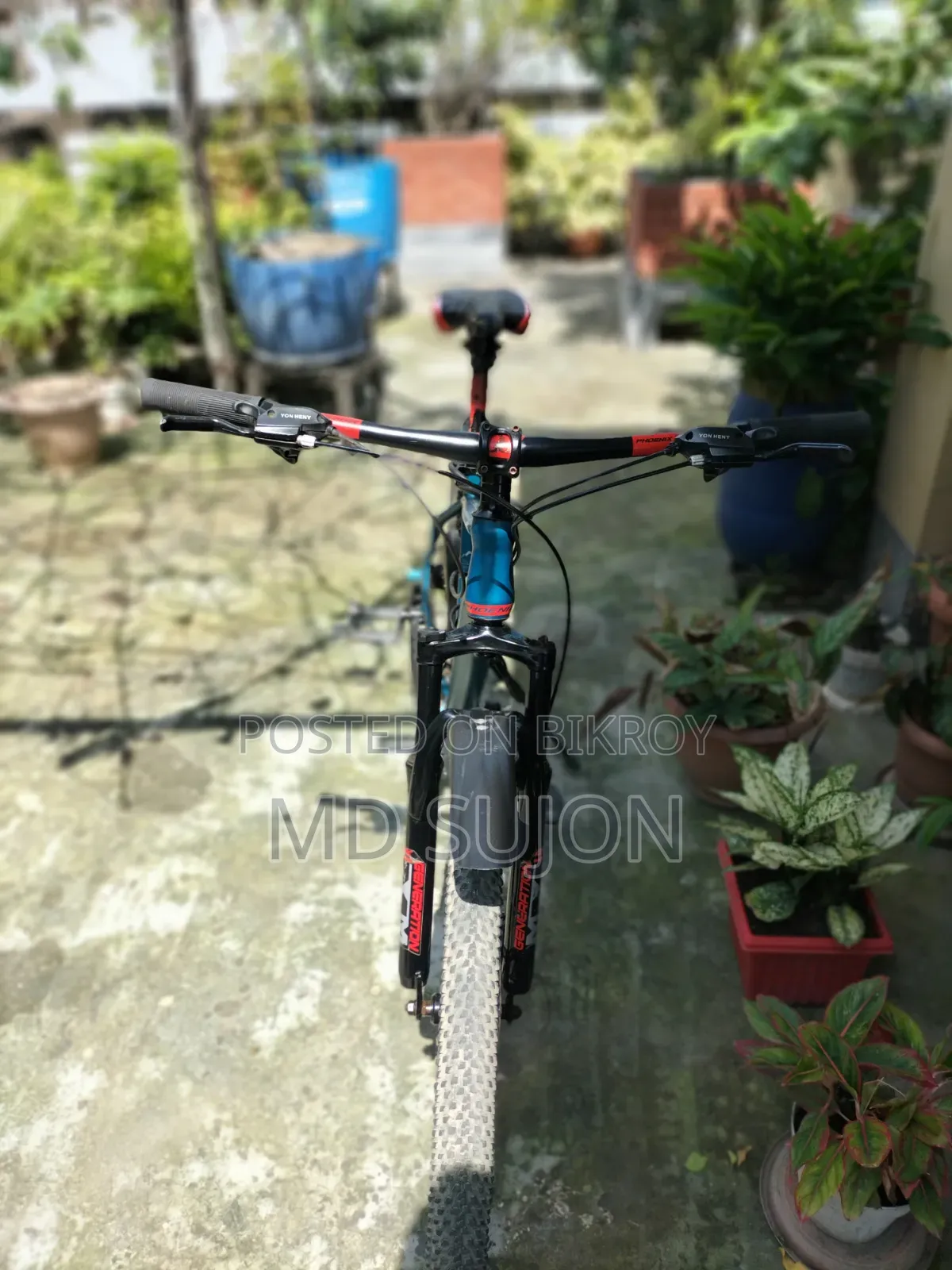 ফিনিক্স ডোনাল্ড