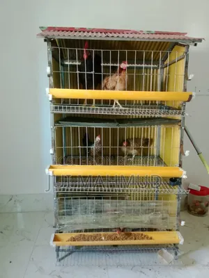A chicken cage will be sold