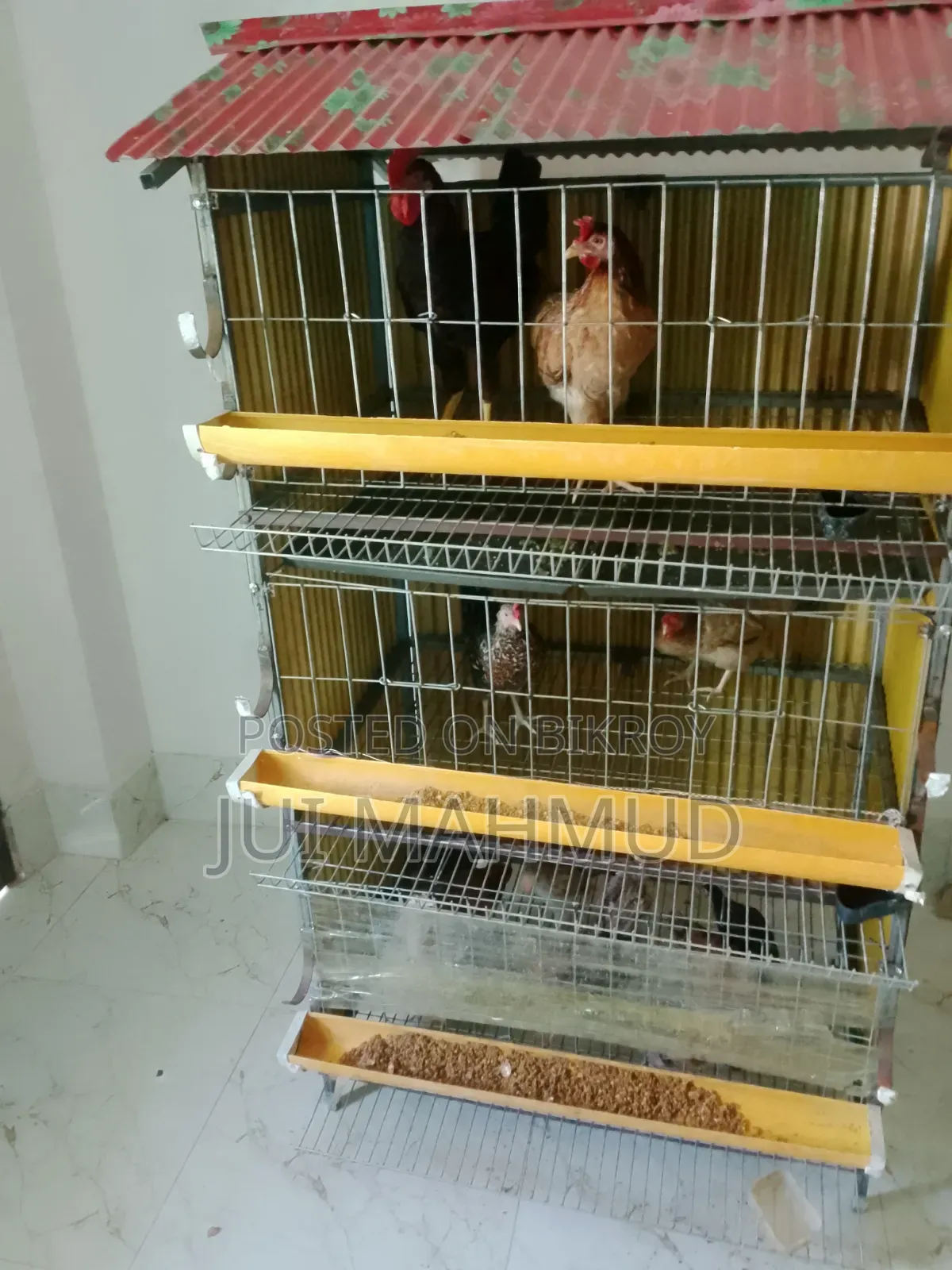 A chicken cage will be sold