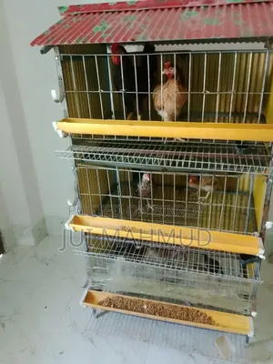 A chicken cage will be sold