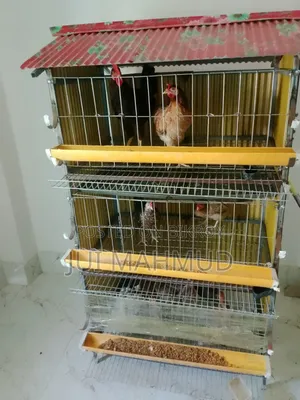 A chicken cage will be sold