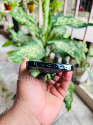 অ্যাপল আইফোন ১২ প্রো ১২৮ জিবি গ্রে