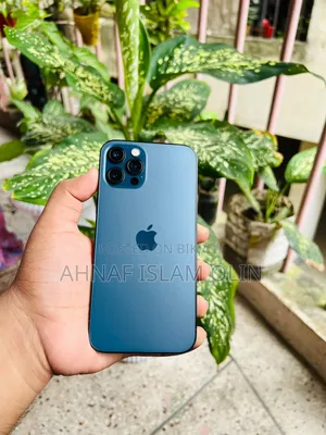 অ্যাপল আইফোন ১২ প্রো ১২৮ জিবি গ্রে