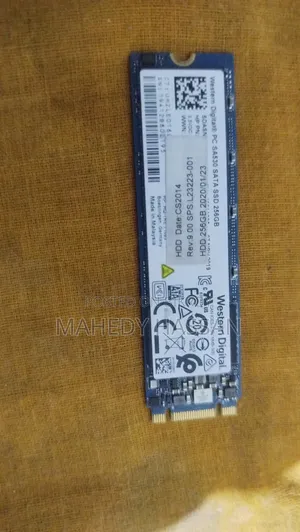 ডব্লিউডি এসএ ৫৩০ সাটা এসএসডি ২৫৬জিবি