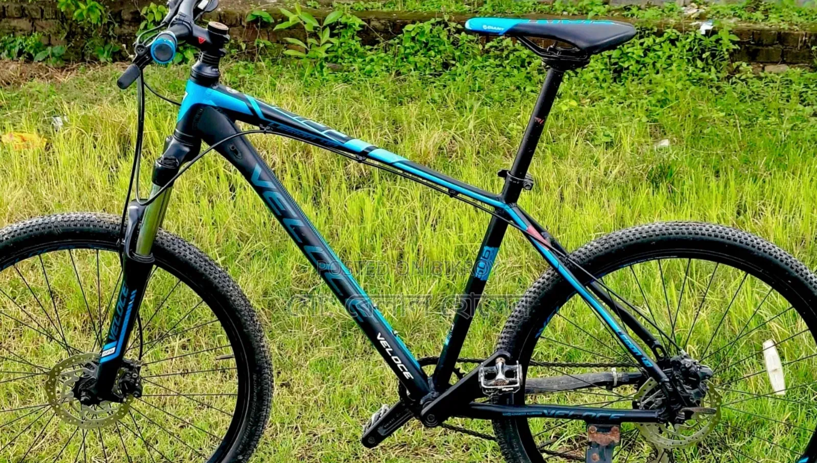 Veloce Legion 40 Cycle