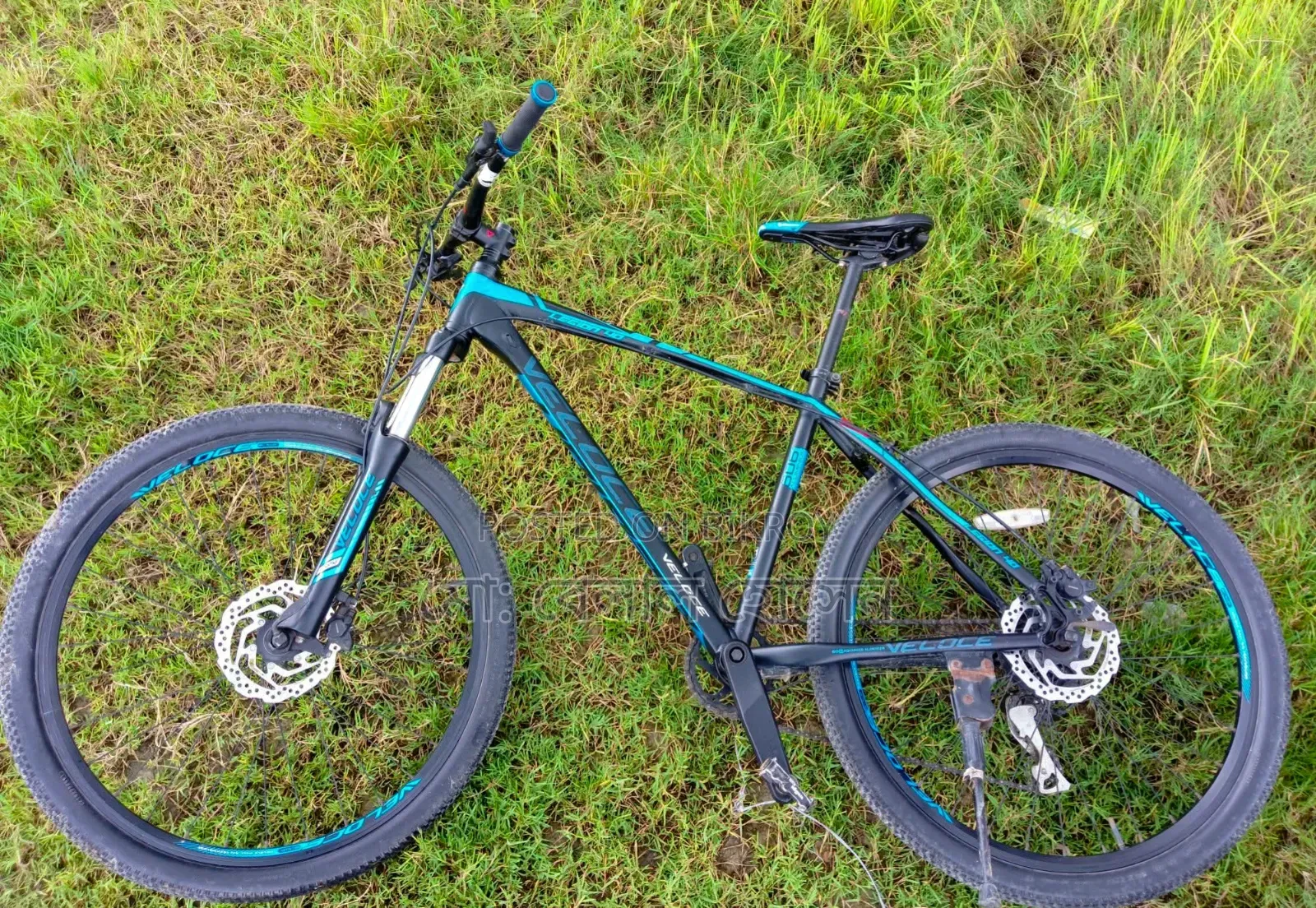 Veloce Legion 40 Cycle