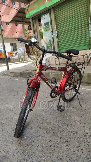 Best Cycle Amir Bike 24"