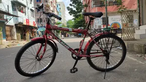 Best Cycle Amir Bike 24"