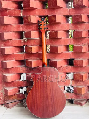 Music Instruments
