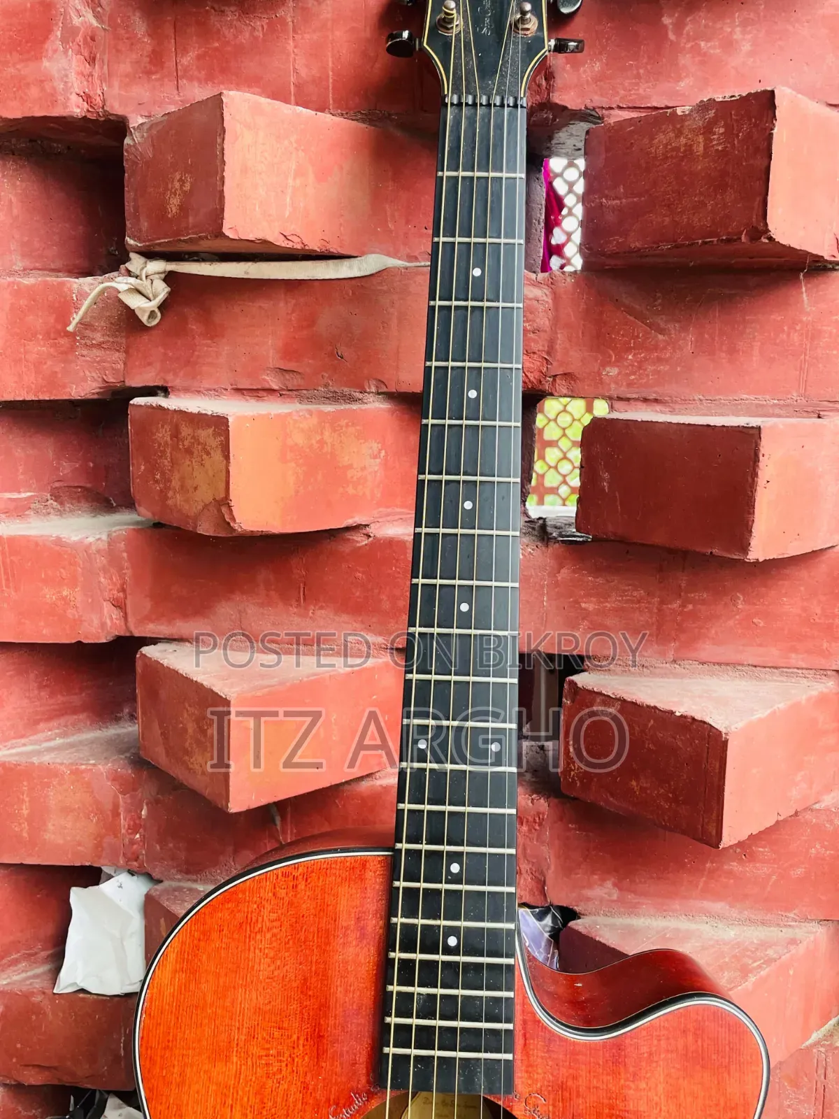Music Instruments