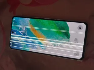 স্যামসাং গ্যালাক্সি এস২১ এফই ৫জি ২৫৬ জিবি