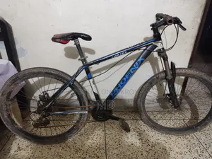 Phoenix Vortex Mountain Bike | MTB Bicycle