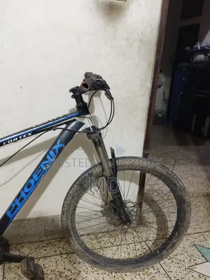 Phoenix Vortex Mountain Bike | MTB Bicycle