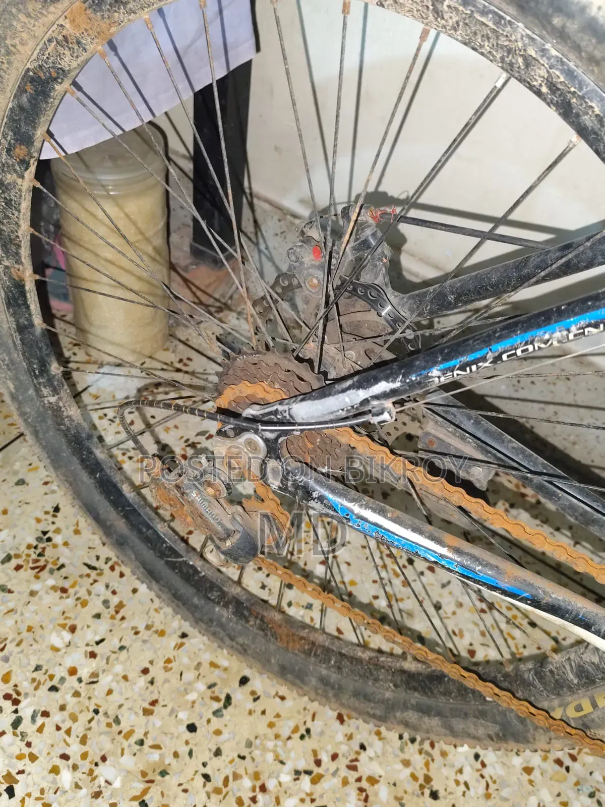 Phoenix Vortex Mountain Bike | MTB Bicycle