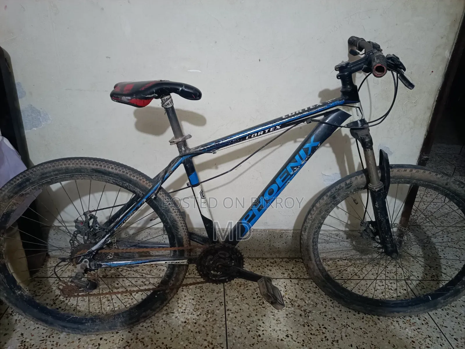 Phoenix Vortex Mountain Bike | MTB Bicycle