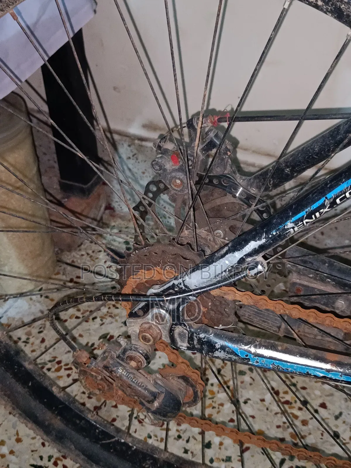 Phoenix Vortex Mountain Bike | MTB Bicycle