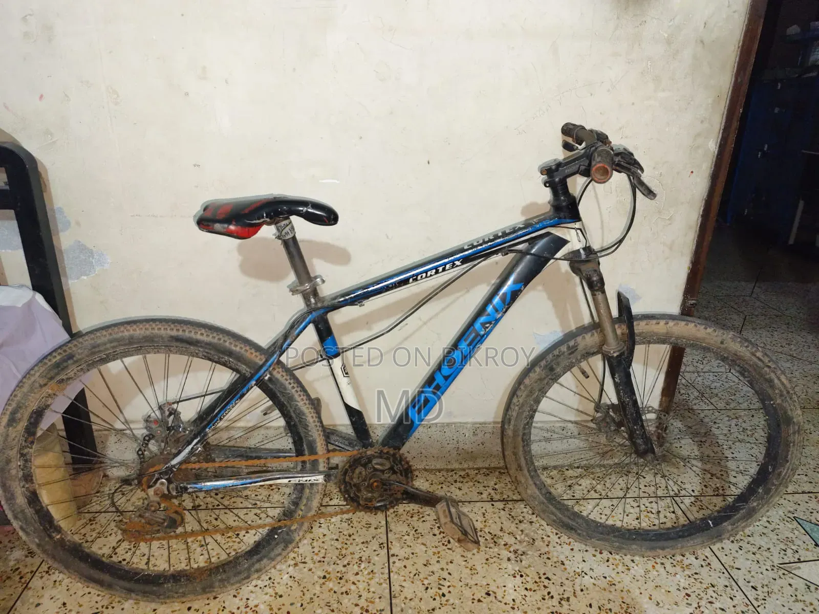 Phoenix Vortex Mountain Bike | MTB Bicycle