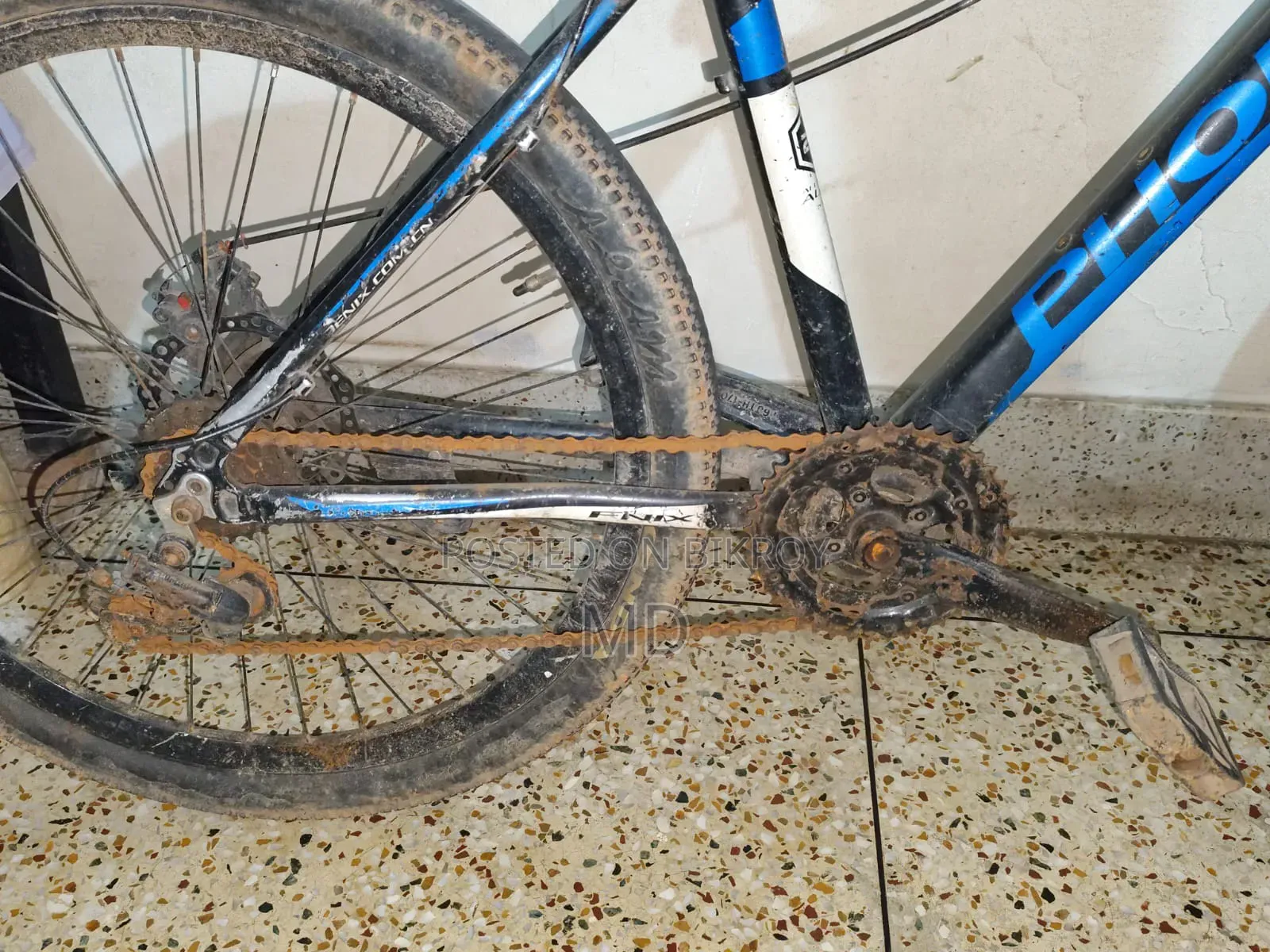 Phoenix Vortex Mountain Bike | MTB Bicycle