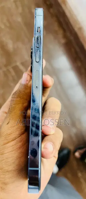 অ্যাপল আইফোন ১৩ প্রো ম্যাক্স ২৫৬ জিবি ব্লু