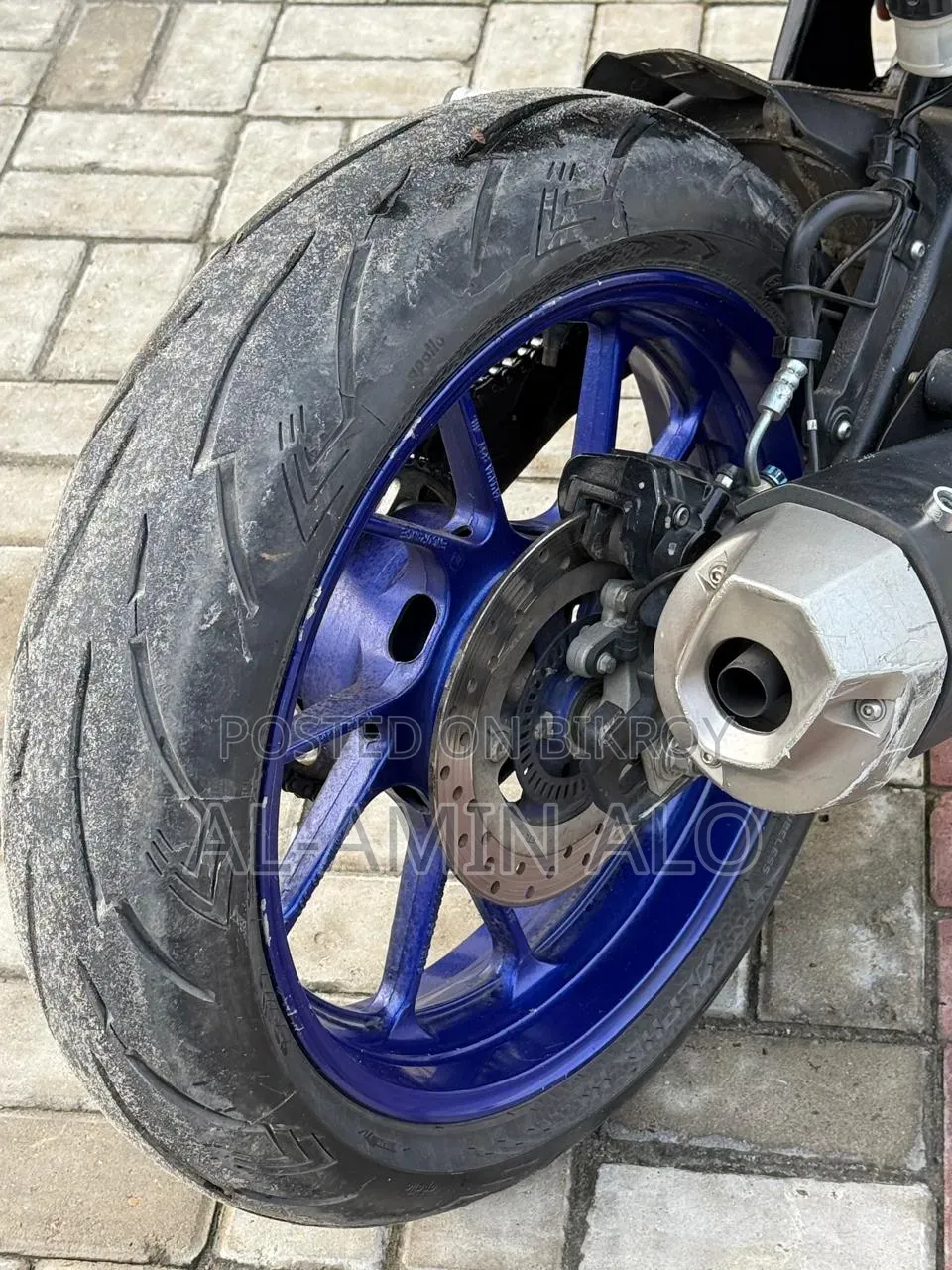 New Indian 2021 Blue