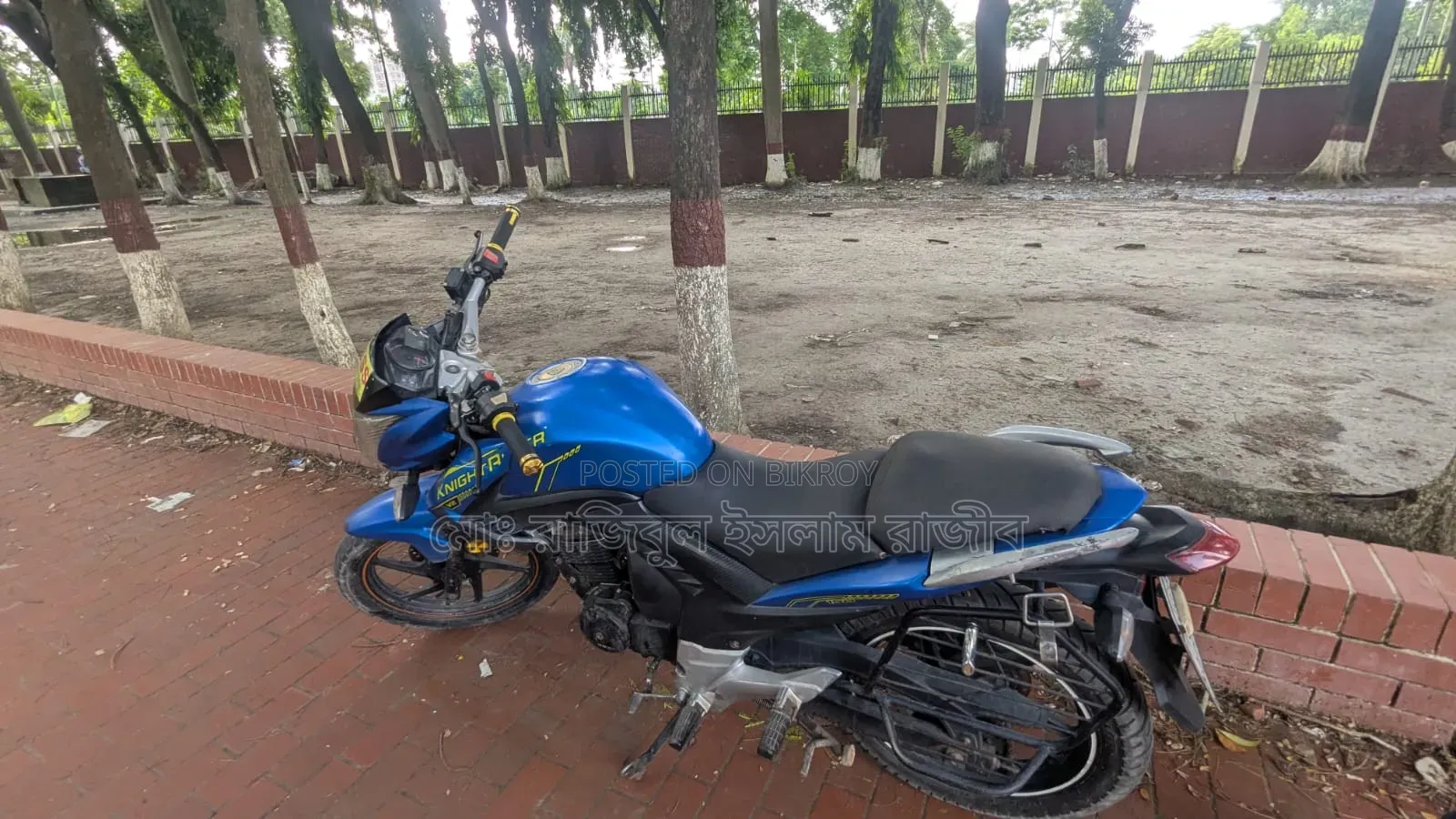 রানার নাইট রাইডার ভি২ ২০২১ নীল