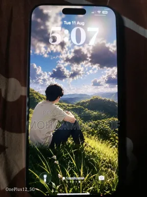 অ্যাপল আইফোন ১৬ প্রো ম্যাক্স ২৫৬ জিবি