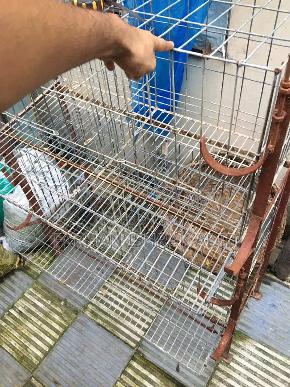 Chicken Cage