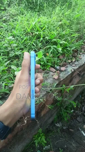 অ্যাপল আইফোন ১৩ ১২৮ জিবি ব্লু