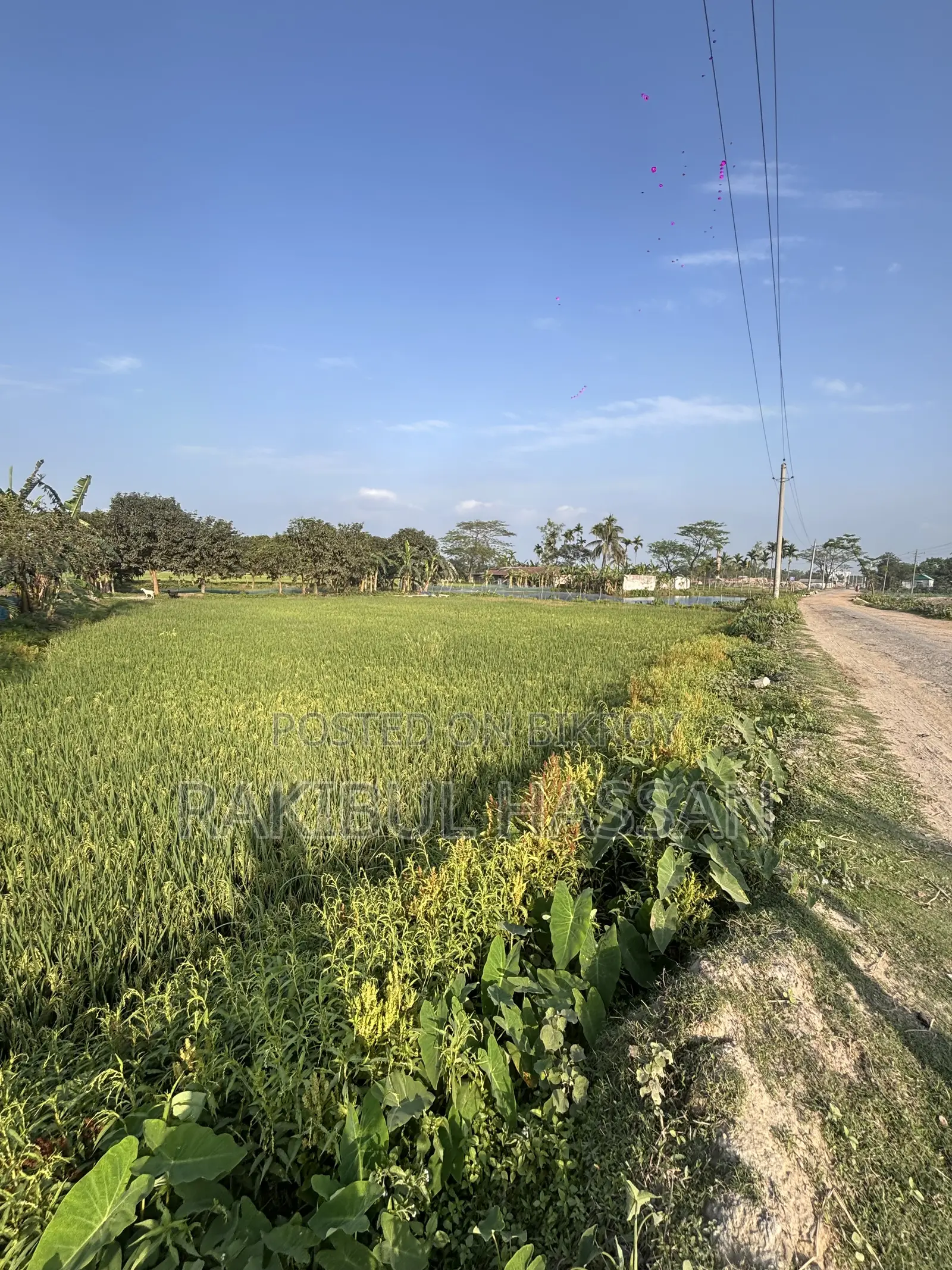 ১৮০ শতাংশ জমি বিক্রি