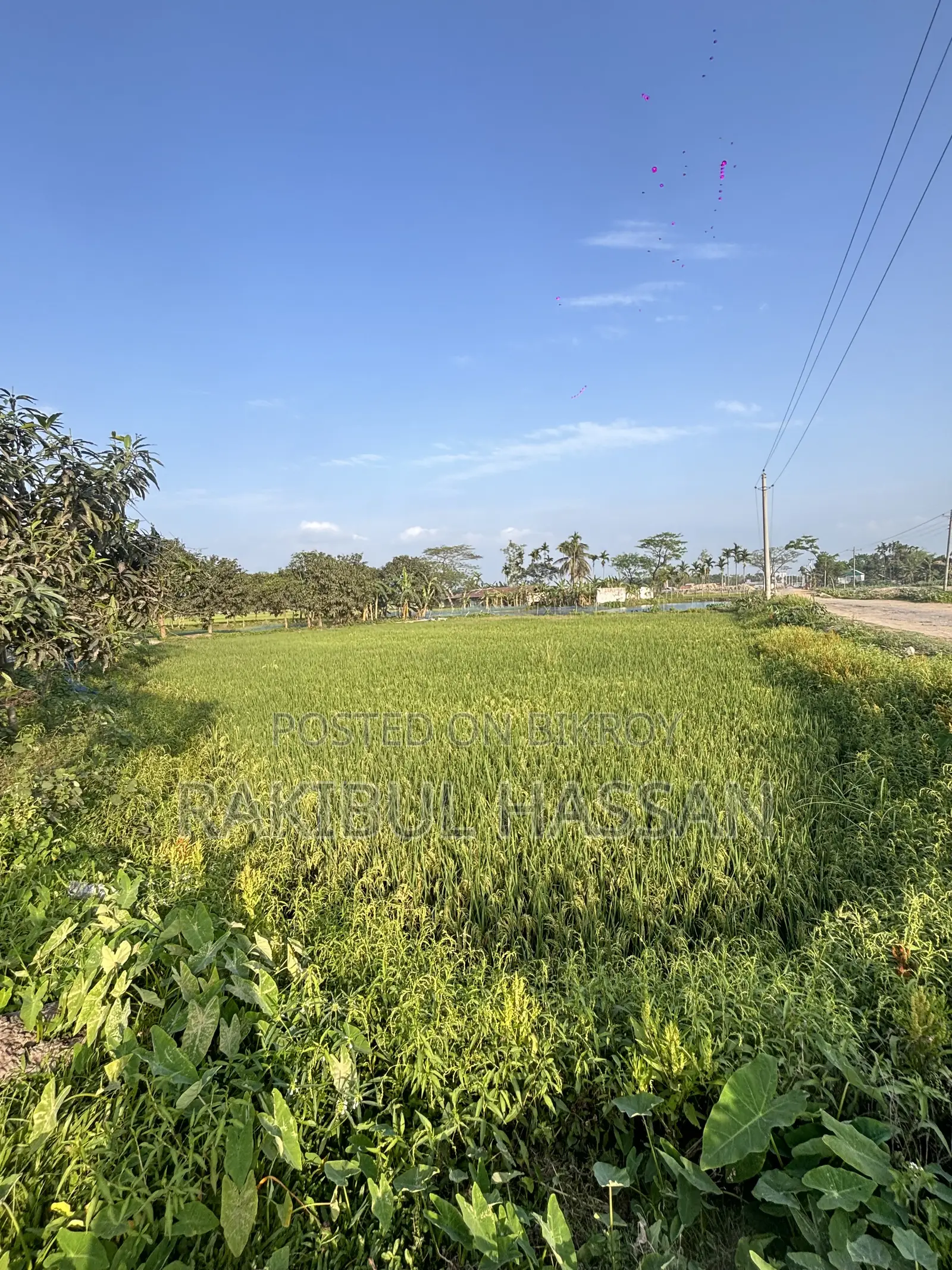 ১৮০ শতাংশ জমি বিক্রি