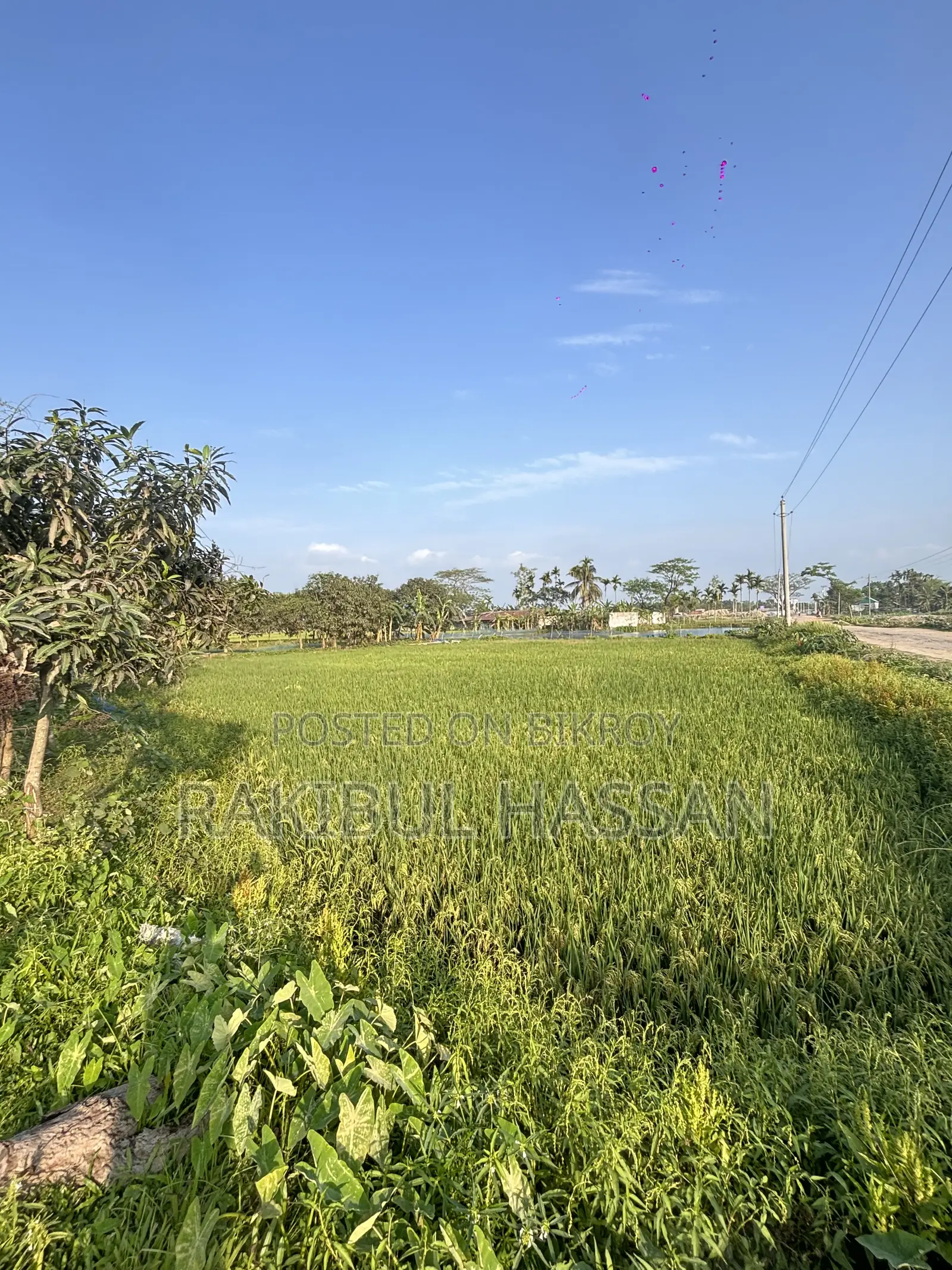 ১৮০ শতাংশ জমি বিক্রি