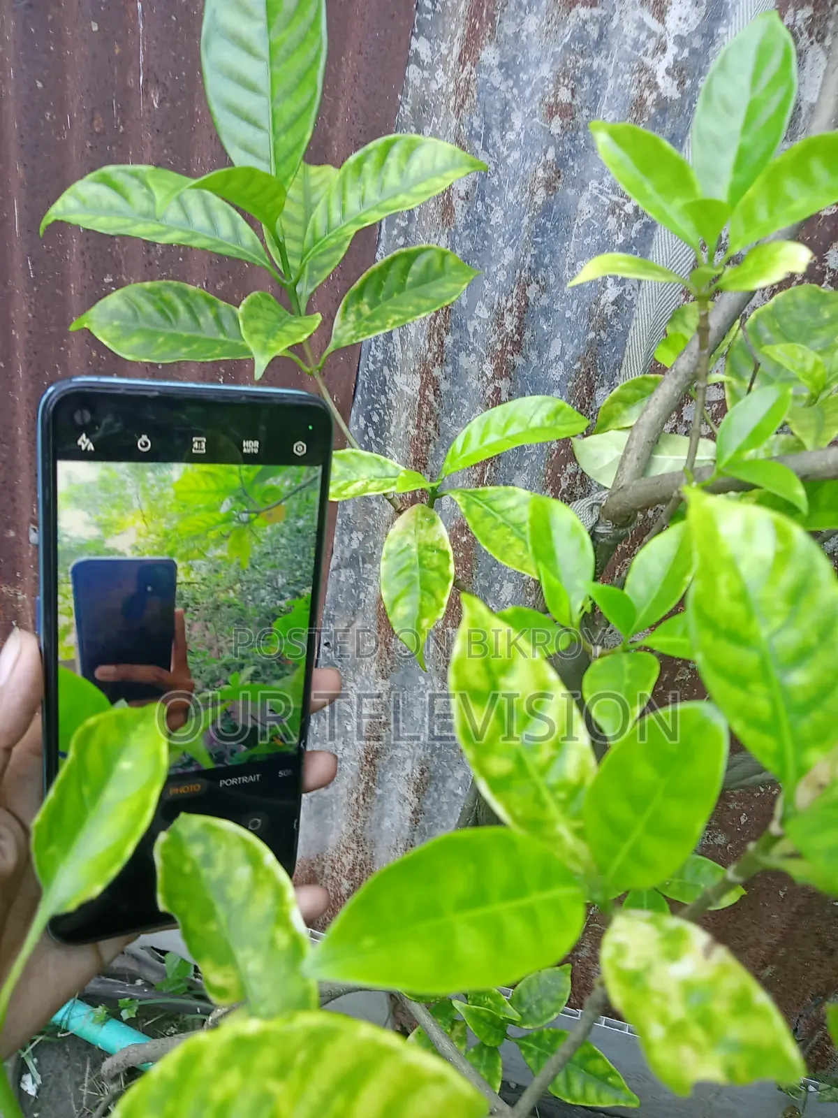 Realme Narzo 50 64 GB Blue