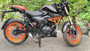 Runner Bolt 165R 2022 Black