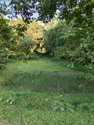 পূর্বাচলের পাশে ৩ কাঠা জমি বিক্রি