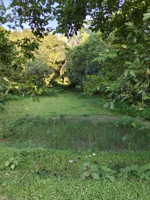 3 katha land for sale beside Purbachal