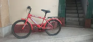 ভাল অবস্থায় বাইসাইকেল (বয়স:৮-১৩ বছর)